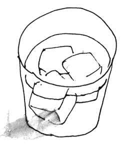20100628.gif