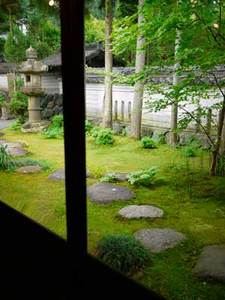 20110607g.jpg