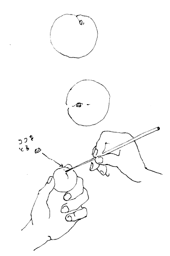 20130621.gif
