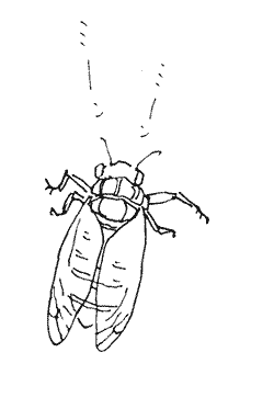 20130705.gif